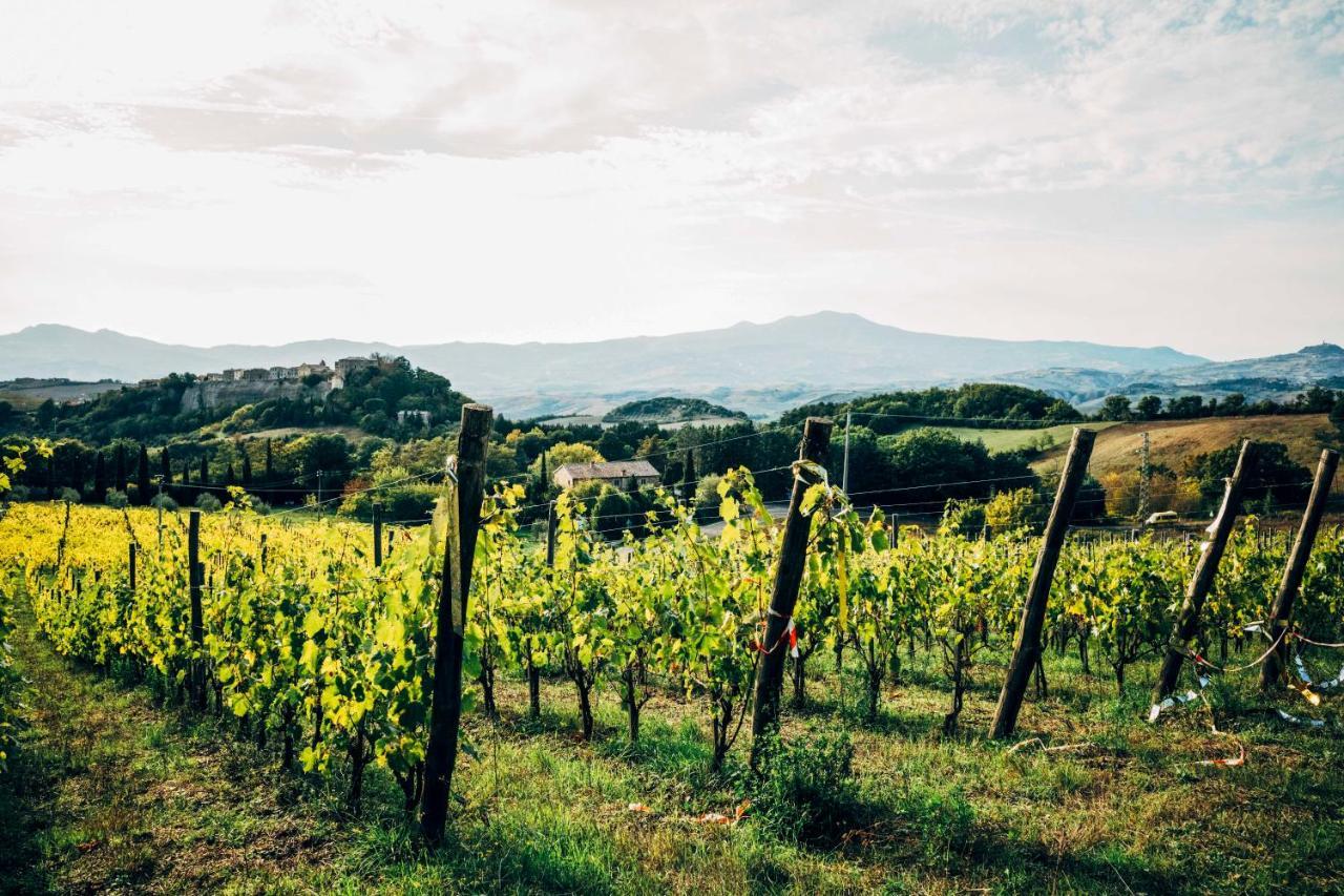 Podere Orto Wine Country House Trevinano Exterior foto